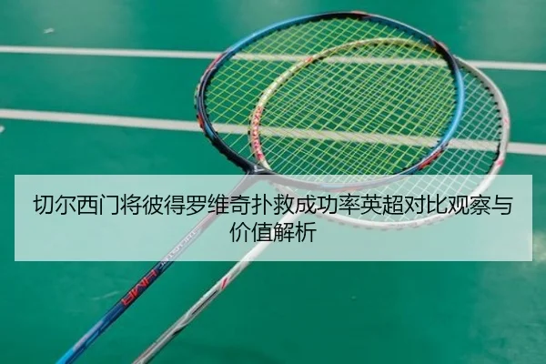 切尔西门将彼得罗维奇扑救成功率英超对比观察与价值解析
